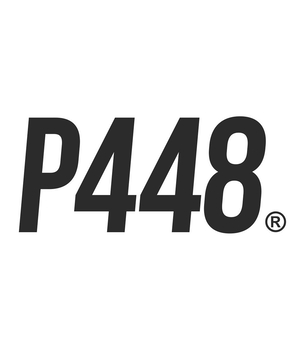 P448 Profile Background